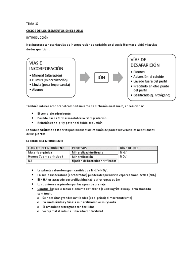 Miniatura del documento TEMA-10.pdf