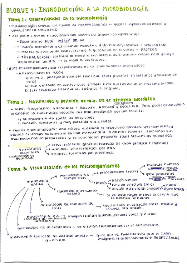 Miniatura del documento RESUMEN-TODOS-LOS-TEMAS.pdf