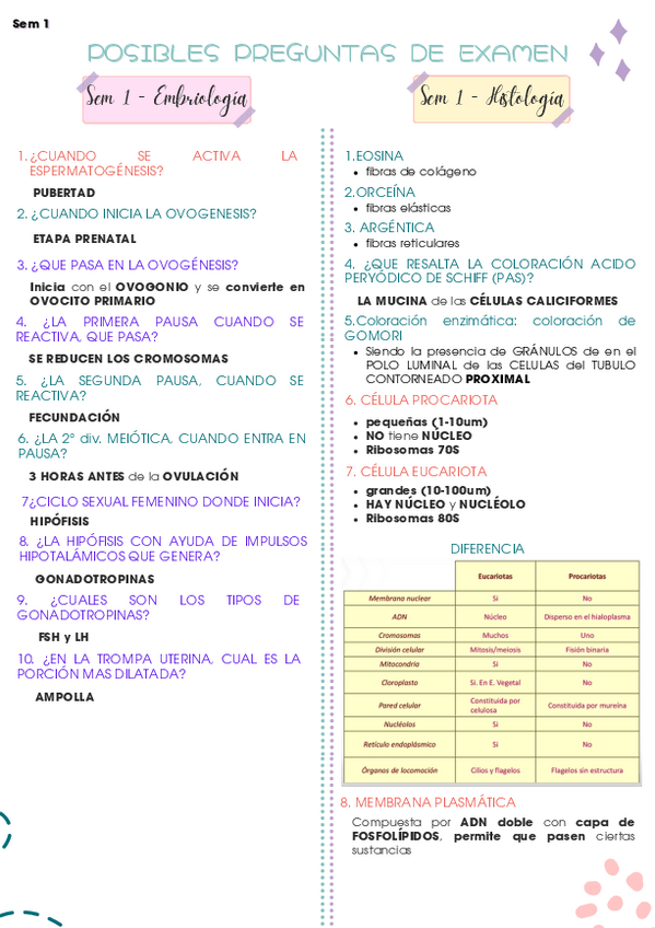 Miniatura del documento Semana-1-y-2-teoria.pdf