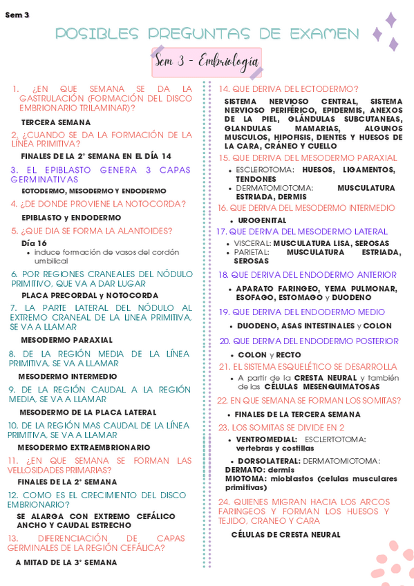 Miniatura del documento Semana-3-y-4-teoria.pdf