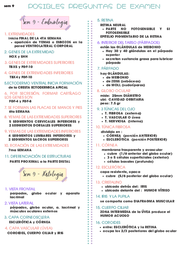 Miniatura del documento Semana-9-y-10-teoria.pdf