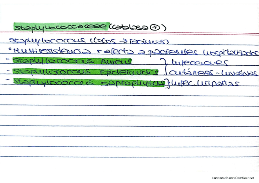 Miniatura del documento MICROBIOLOGIA-BACTERIAS.pdf