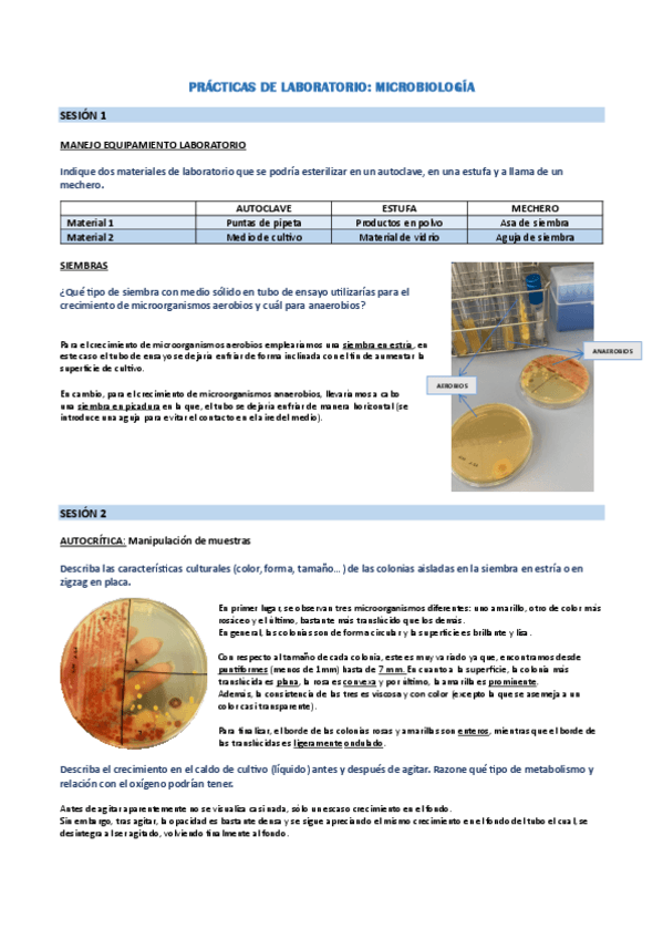 Miniatura del documento PRACTICAS.pdf