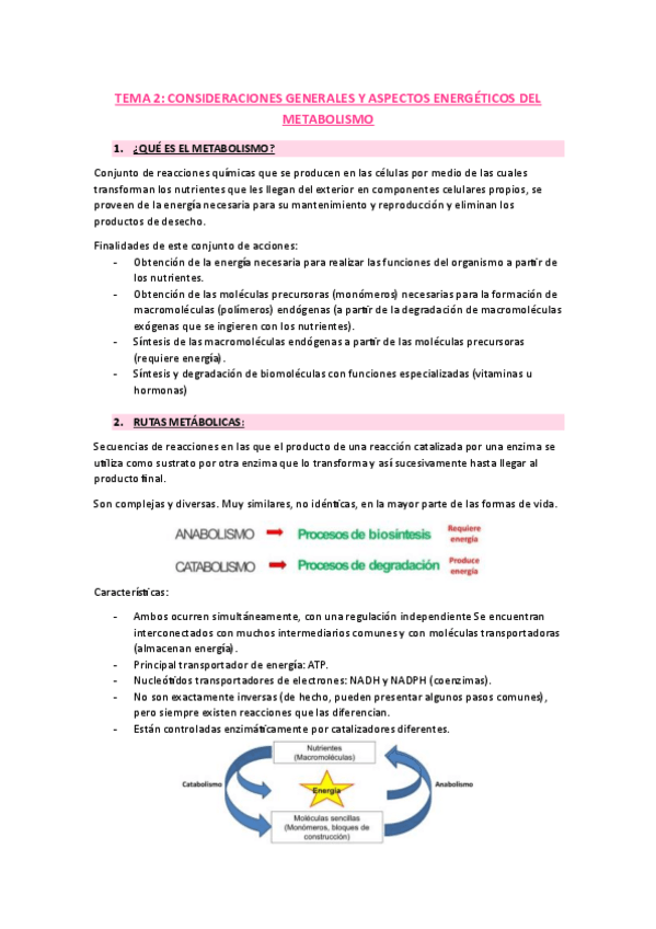 Miniatura del documento tema-2-bioquimica.pdf