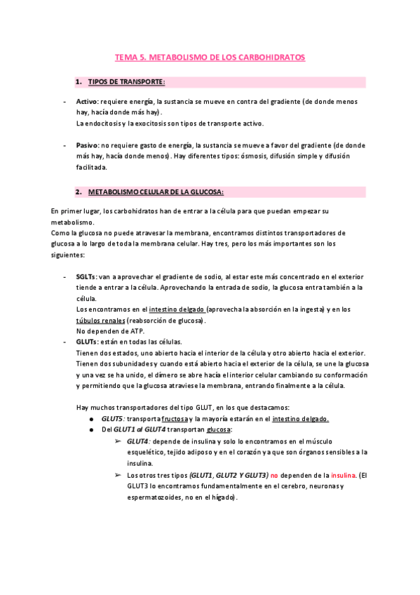 Miniatura del documento tema-5-bioquimica.pdf