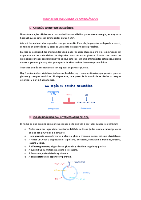 Miniatura del documento tema-8-bioquimica.pdf