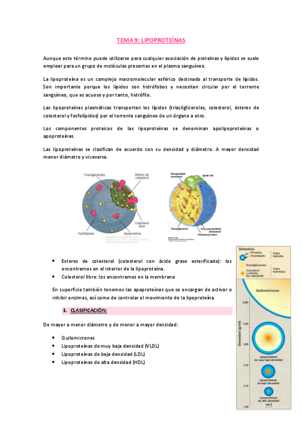 Miniatura del documento tema-9-lipoproteinas.pdf