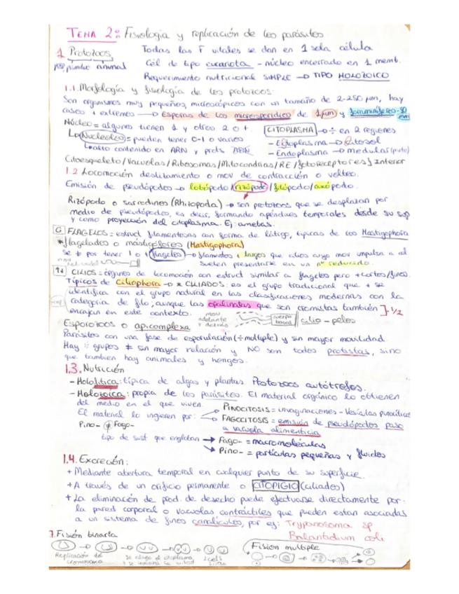 Miniatura del documento Tema-2.pdf