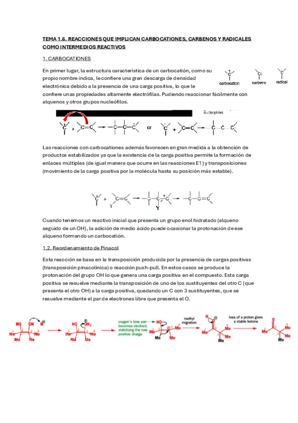 Miniatura del documento T1.6.pdf