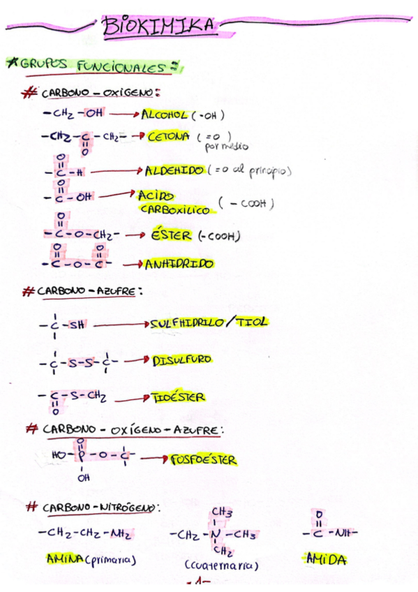 Miniatura del documento Bases-bioquimica-basica.pdf