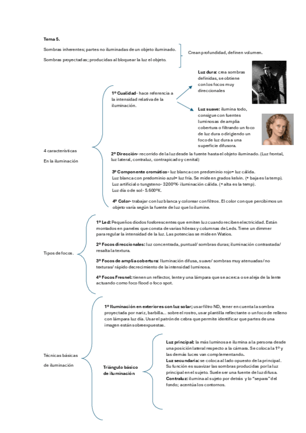 Miniatura del documento resumen-tic.pdf