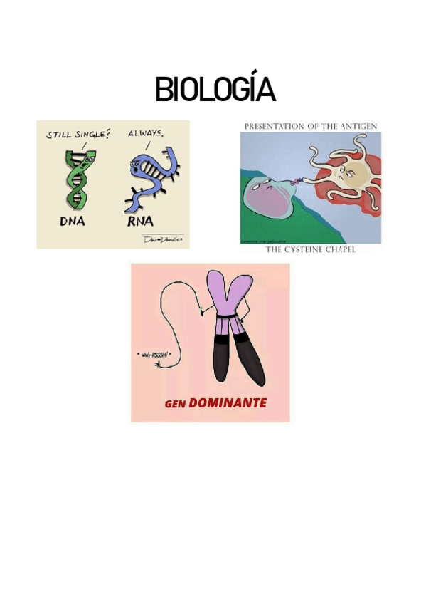 Miniatura del documento Apuntes-biologia-completos.pdf