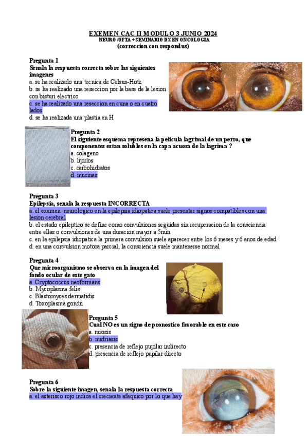 Miniatura del documento EXAM-MODULO-3-JUNIO-2024.pdf