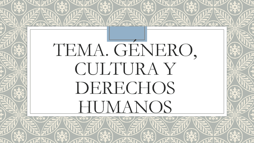 Miniatura del documento Tema-Genero-Cultura-y-DDHH.pdf