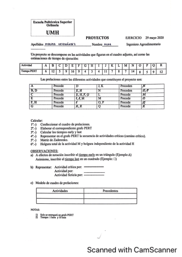 Miniatura del documento PERT-29-mayo-2020.pdf