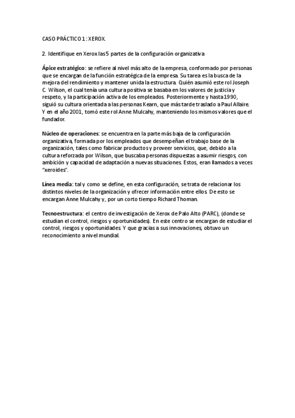 Miniatura del documento CASO-PRACTICO-1-diseno-organizativo..pdf