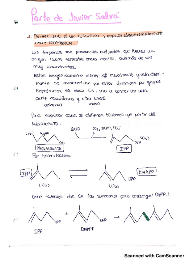 Miniatura del documento Preguntas examen tipo 1.pdf