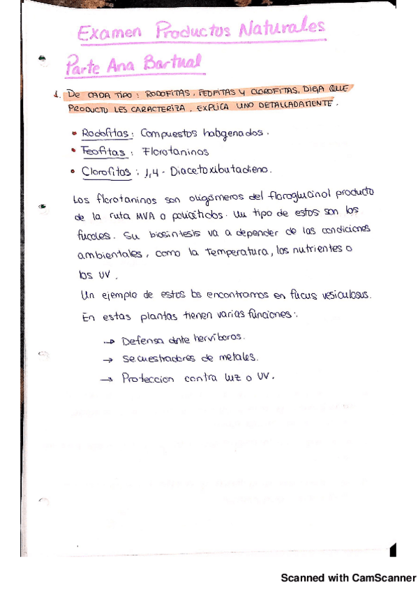 Miniatura del documento Preguntas examen tipo 2.pdf