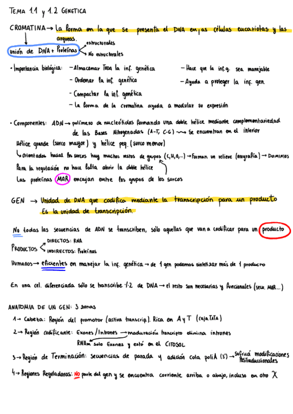 Miniatura del documento ESQUEMAS-PRIMER-PARCIAL-GENETICA.pdf