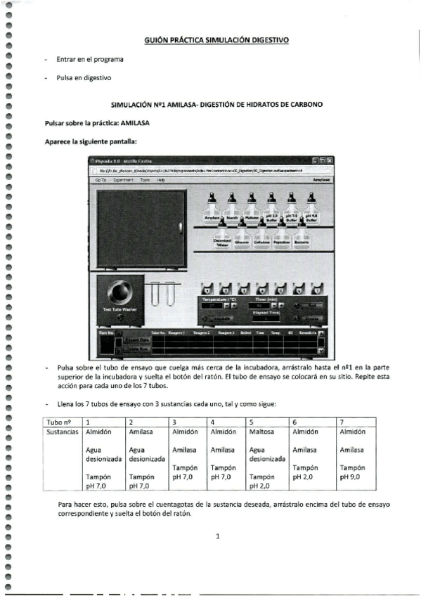 Miniatura del documento Prácticas Fisiología.pdf
