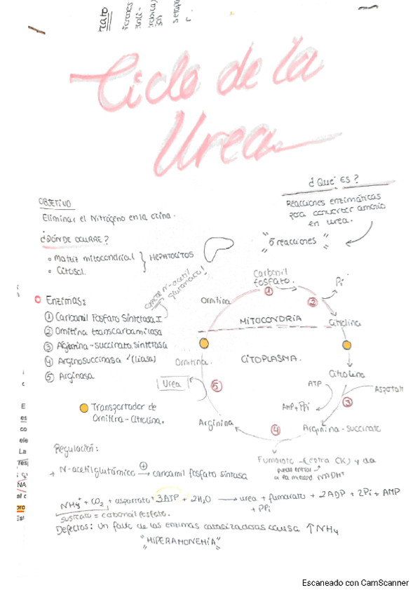 Miniatura del documento regulac.pdf