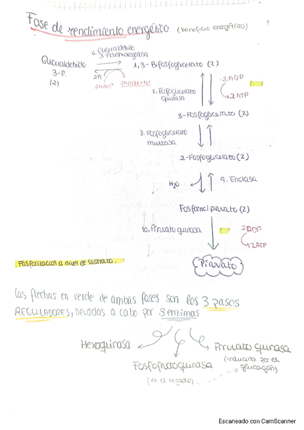 Miniatura del documento regulacion-esquemas.pdf