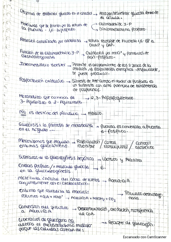 Miniatura del documento respuestas-a-los-cuestionarios.pdf