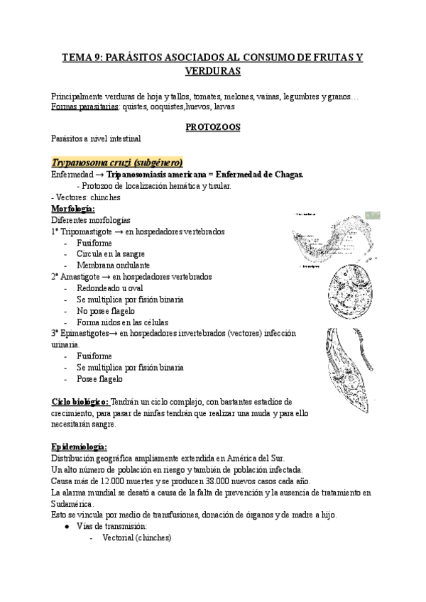 Miniatura del documento TEMA-9-PARASITOS-ASOCIADOS-AL-CONSUMO-DE-FRUTAS-Y-VERDURAS.pdf