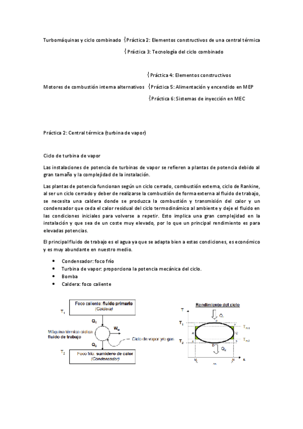 Miniatura del documento Resumen-practicas.pdf