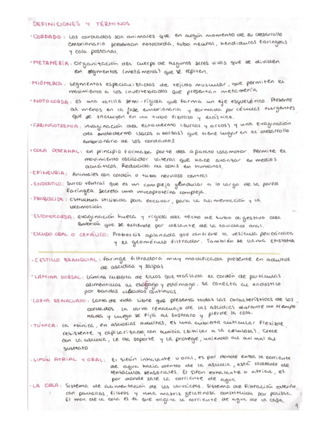 Miniatura del documento ImportantesVertebrados.pdf