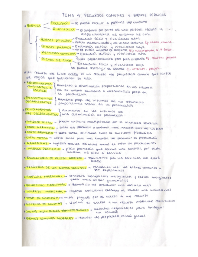 Miniatura del documento Apuntes-TEMA-4.pdf