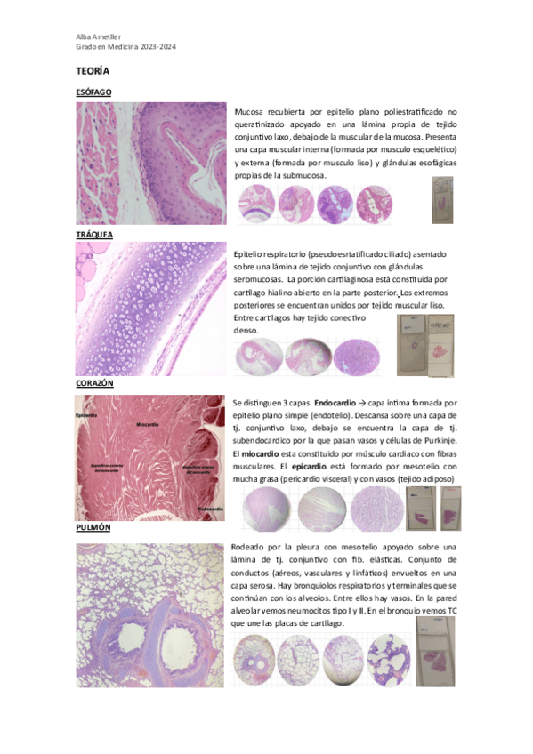 Miniatura del documento HISTOLOGIA-Laboratorio.pdf