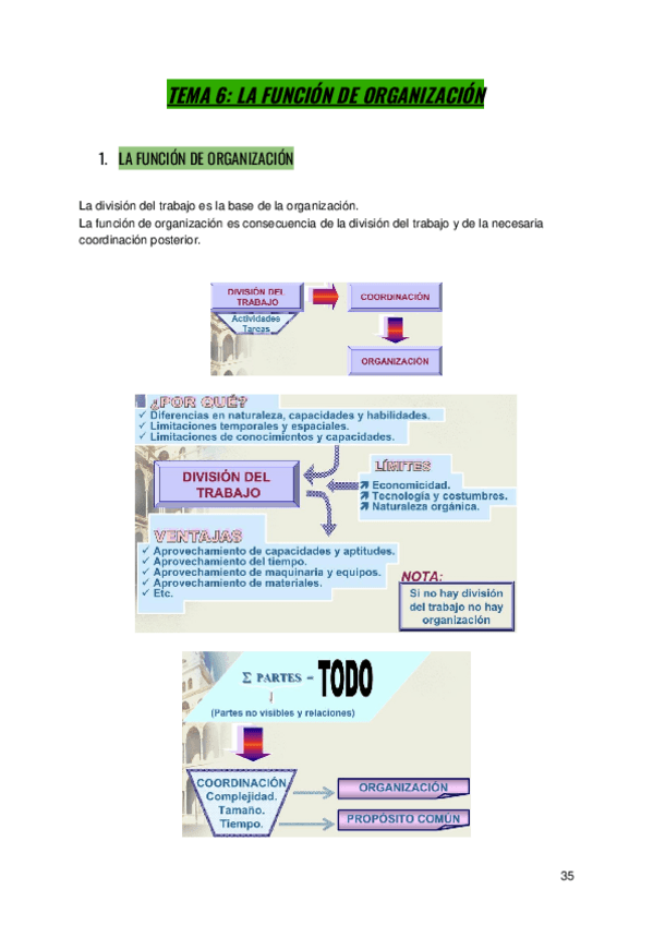 Miniatura del documento TEMA-6-LA-FUNCION-DE-ORGANIZACION.docx