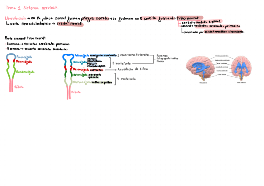 Miniatura del documento Embrio-2023.pdf