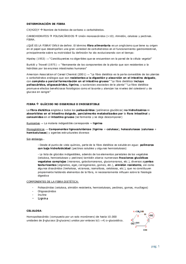 Miniatura del documento resumen-listo-imprimir-fibra-minerales-y-proteinas.pdf