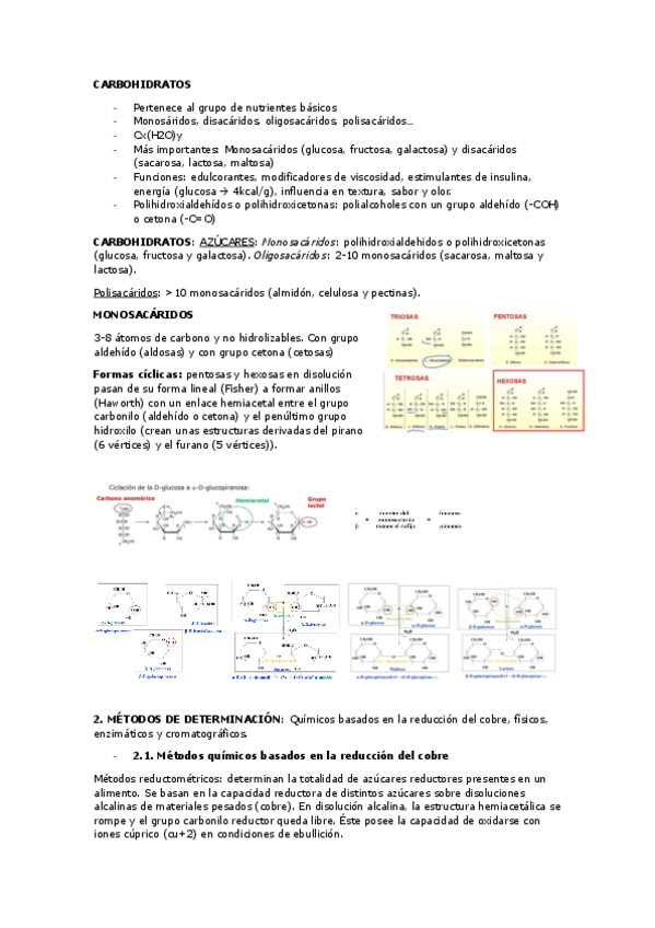Miniatura del documento carbohidratos-y-lipidos-imprimir.pdf