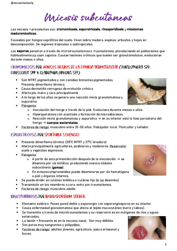Miniatura del documento Micosis-subcutaneas.pdf
