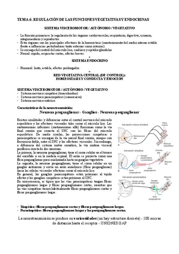 Miniatura del documento TEMA-6.pdf