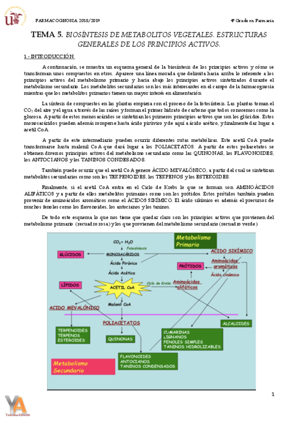 Miniatura del documento TEMA 5 BIOSÍNTESIS DE METABOLITOS VEGETALES. ESTRUCTURAS GENERALES DE LOS PRINCIPIOS ACTIVOS.pdf