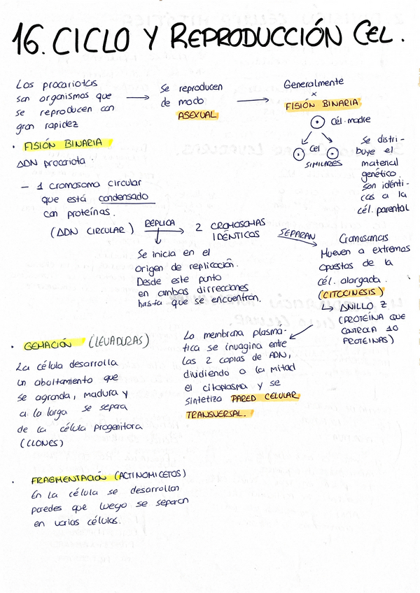 Miniatura del documento TEMAS-16-19.pdf
