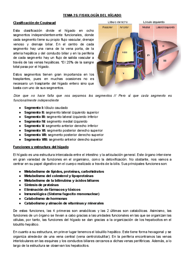 Miniatura del documento T25El-higado.pdf