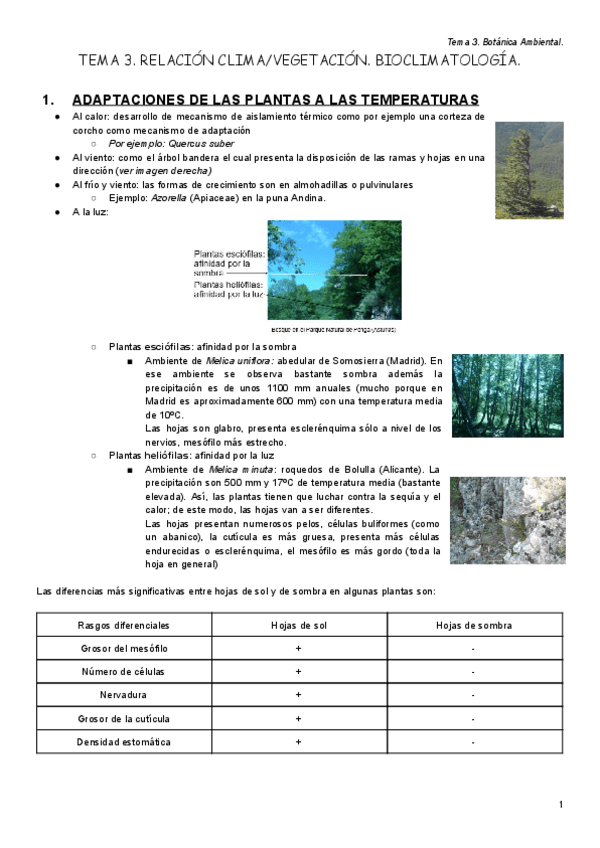 Miniatura del documento Tema III..pdf