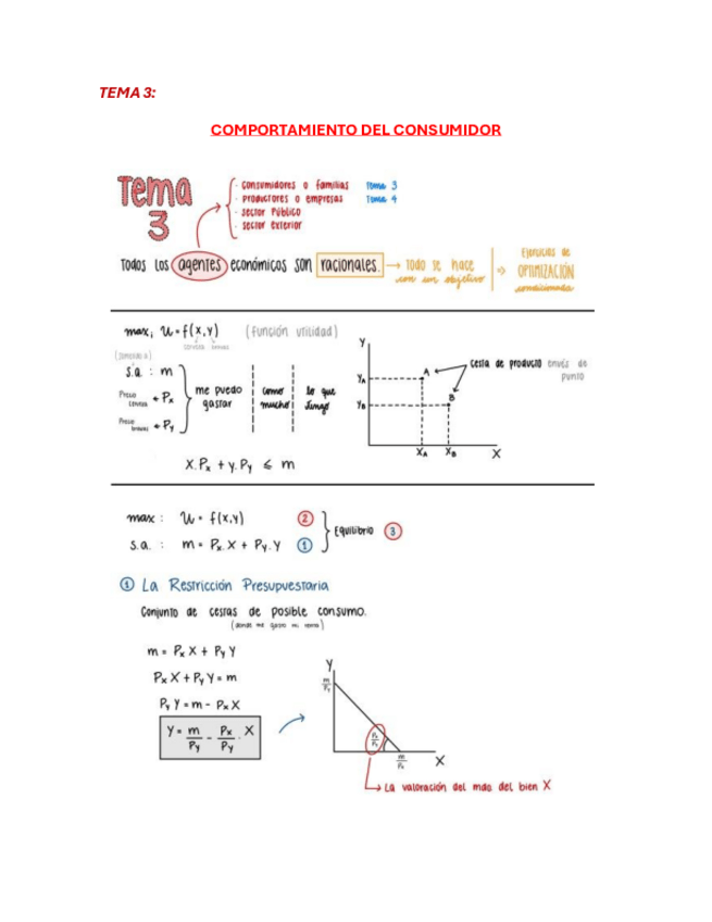 Miniatura del documento TEMA-3.pdf