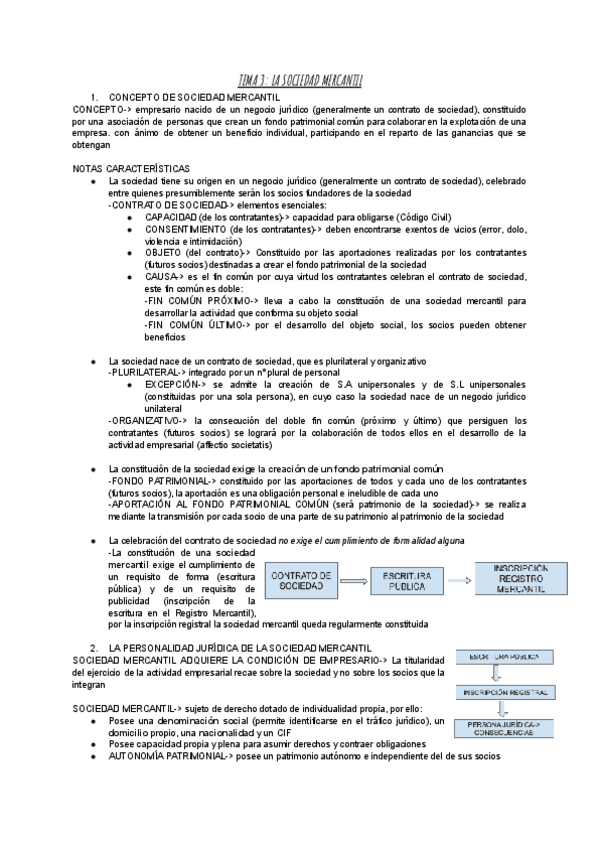 Miniatura del documento TEMA-3-LA-SOCIEDAD-MERCANTIL-D.-MERCANTIL.pdf