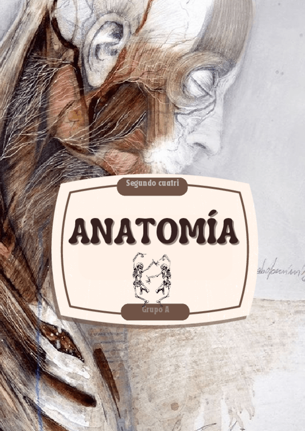 Miniatura del documento portada-anatomia.pdf