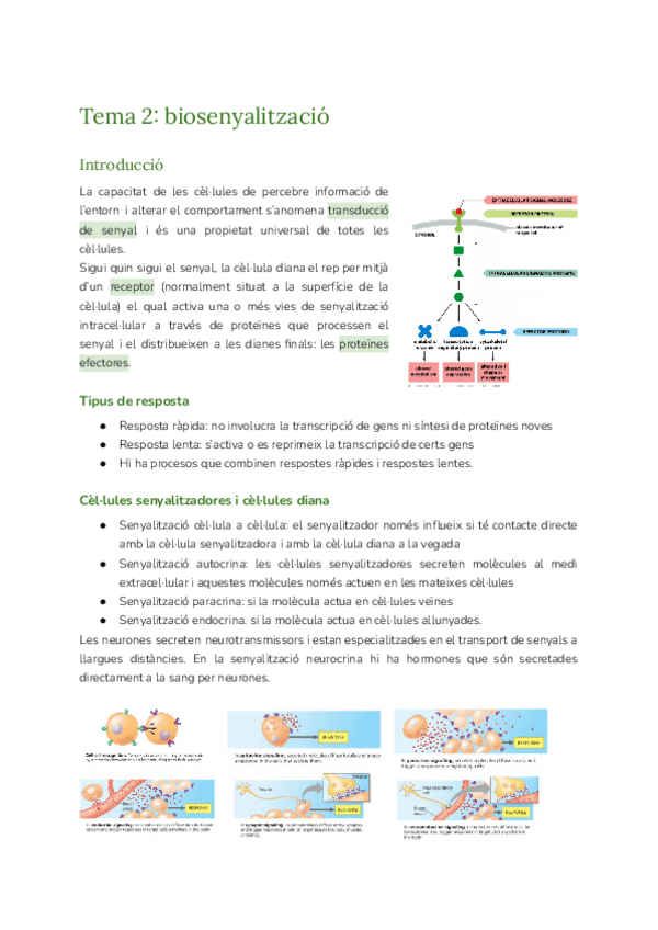 Miniatura del documento Tema-2-bioquimica-II.pdf