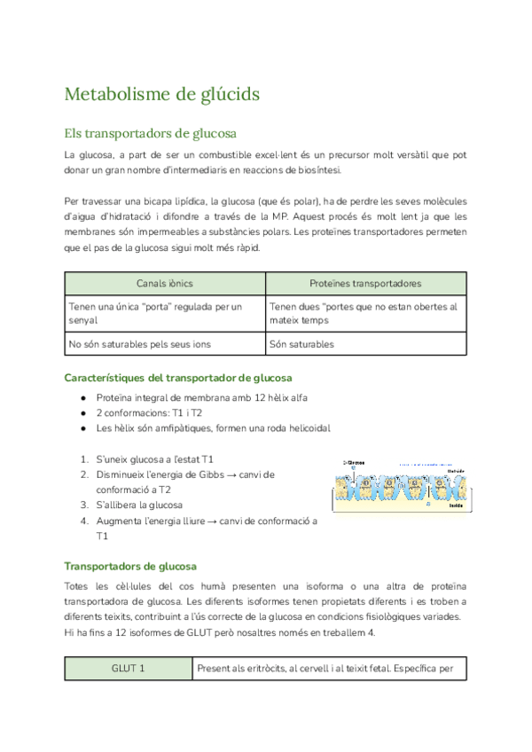 Miniatura del documento Tema-3-bioquimica-II.pdf