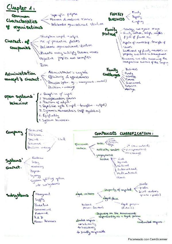 Miniatura del documento Business-Administration-Esquemas.pdf