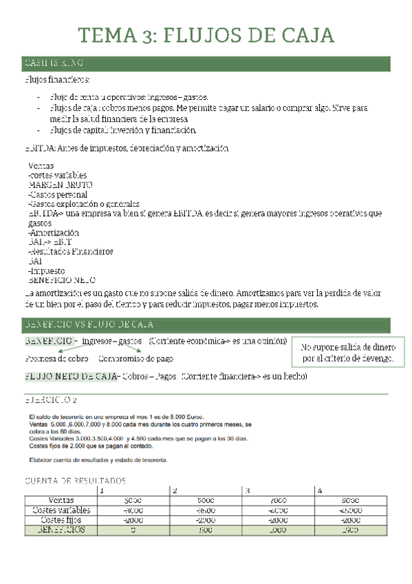 Miniatura del documento TEMA-3.-FLUJOS-DE-CAJA.pdf