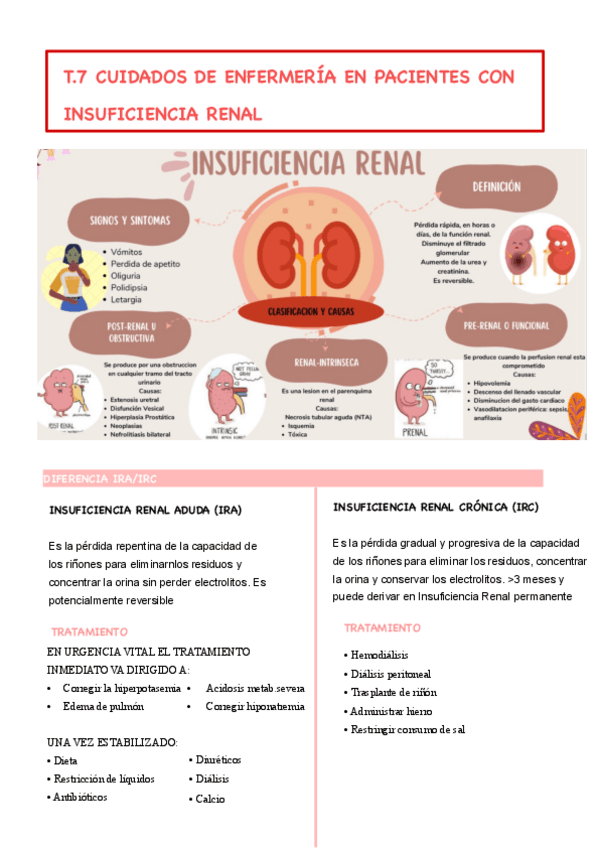 Miniatura del documento tema-7--urinario.pdf